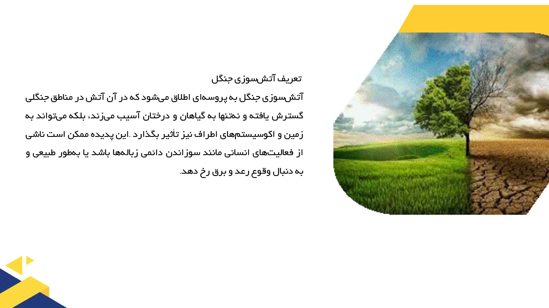 پاورپوینت در مورد تأثیرات آتش‌سوزی در جنگل‌ها